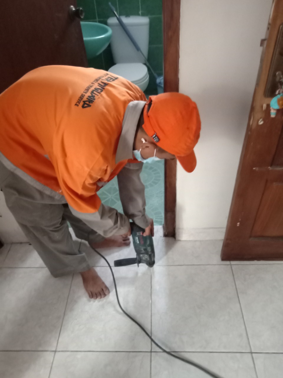 Layanan Pembasmi Hama Tikus Dan Kecoa Terpercaya  Melayani Wilayah Kota Ngawi  Jawa Timur Hub 085100811042