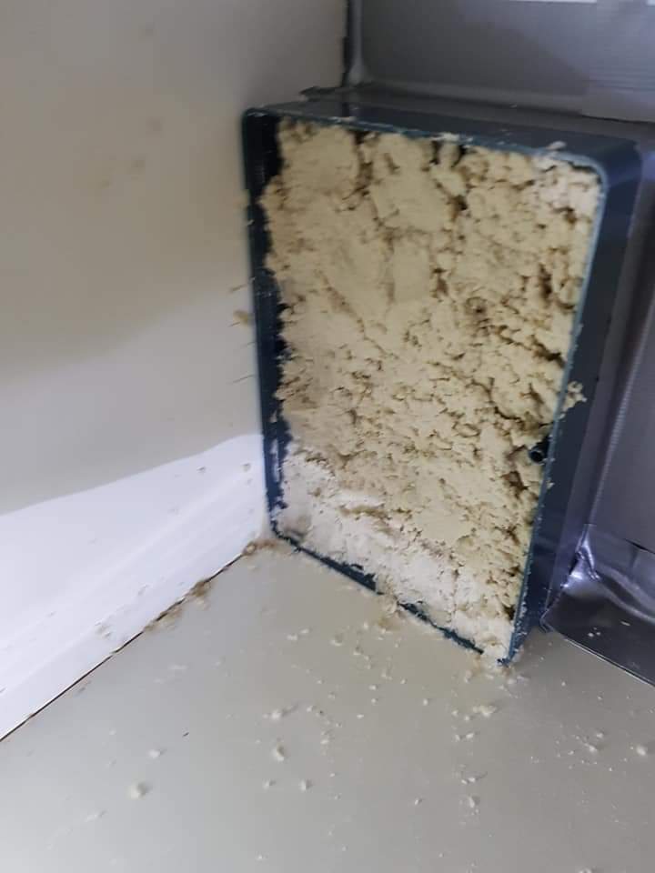 Harga Pembasmi Hama Dan Fogging Terpercaya  Melayani Wilayah Kota Ngawi  Jawa Timur Hub 085100811042